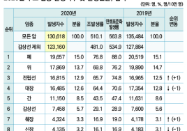 암보험, 성별에 따라 '체크 포인트'가 달라야 한다