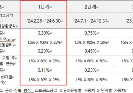 [이슈&이슈] 오늘부터 스트레스 DSR 적용… 대출한도 확 줄어든다