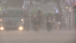 자동차시민연합 “장마철 차 사고 최대 원인은 ‘폭우’ 아닌 ‘법규위반’”