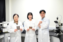 한국재료연구원, 혈액 내 ‘암 돌연변이 유전자’ 검출 기술 개발