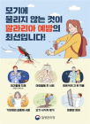 질병청, 전국에 말라리아 경보 발령… 야간 야외활동 자제 촉구