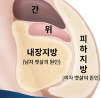 노화와 성인병의 원흉 '내장비만'... 이렇게 자가진단해 보세요