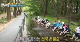 서울숲 맨발걷기학교, MBC ‘생방송 오늘아침’에 소개돼