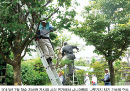 해외 고령화 트렌드 ① 일본 고령자 재취업의 새로운 실험 ‘모자이크형 취업’ 