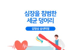 심장 속 세균 덩어리 ‘감염성 심내막염’