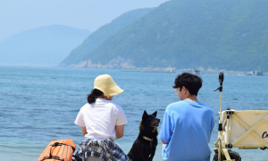 “여름아, 반갑다” 폭염 속 전국 각지 해수욕장 ‘활짝’