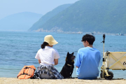 “여름아, 반갑다” 폭염 속 전국 각지 해수욕장 ‘활짝’