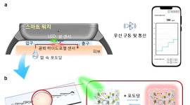 포항공대-인핸드플러스, 땀 한 방울로 혈당 측정기술 개발 '화제'