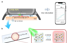 포항공대-인핸드플러스, 땀 한 방울로 혈당 측정기술 개발 '화제'